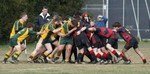 _MG_0172a_1